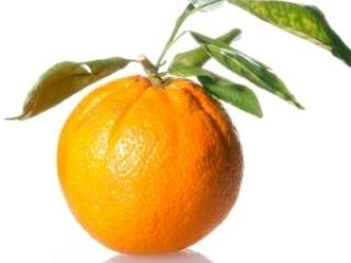 Prvi i najvažniji, vitamin C protiv prehlade