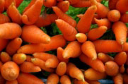 Šargarepa i vitamin A