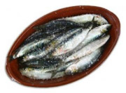 Sardine i omega 3 kiseline