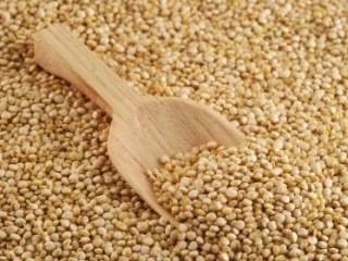 Bogatstvo vitamina i minerala u kinoi